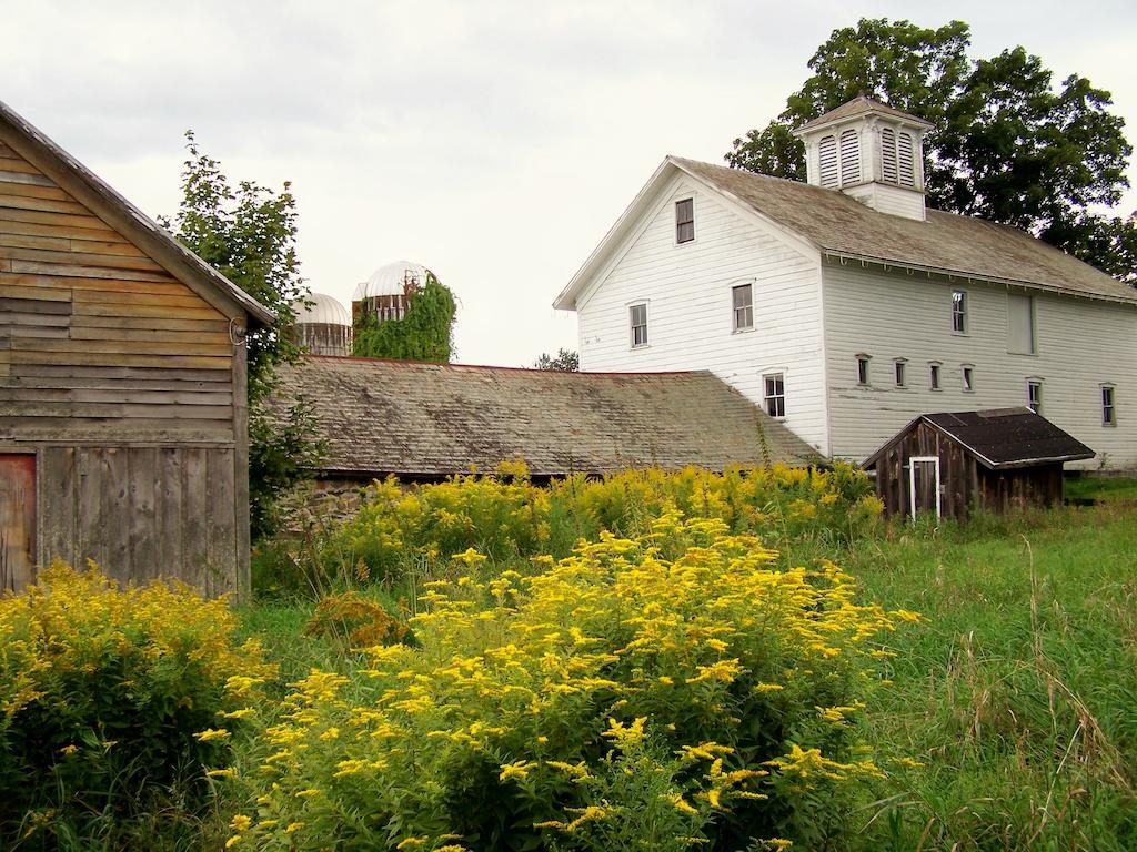 Saratoga Farmstead B&B Saratoga Springs Eksteriør billede